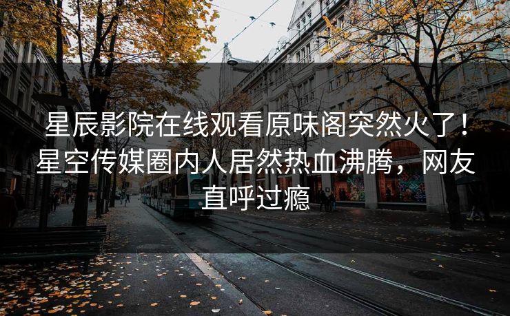 星辰影院在线观看原味阁突然火了！星空传媒圈内人居然热血沸腾，网友直呼过瘾