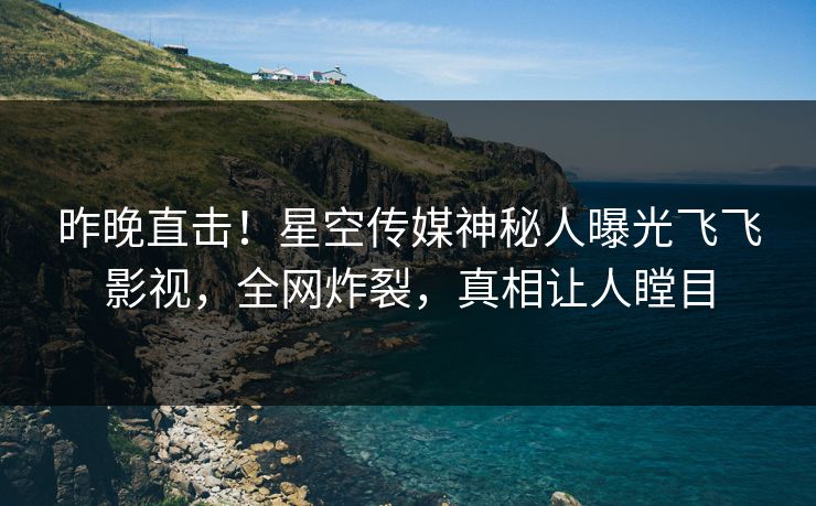 昨晚直击！星空传媒神秘人曝光飞飞影视，全网炸裂，真相让人瞠目