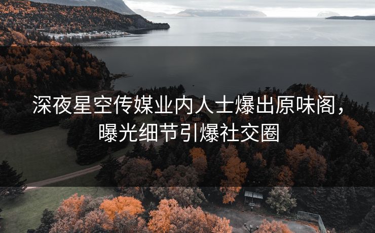深夜星空传媒业内人士爆出原味阁，曝光细节引爆社交圈