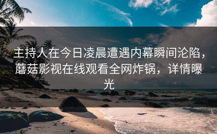 主持人在今日凌晨遭遇内幕瞬间沦陷，蘑菇影视在线观看全网炸锅，详情曝光