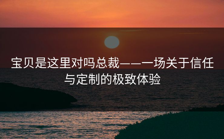 宝贝是这里对吗总裁——一场关于信任与定制的极致体验