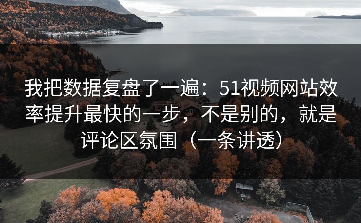 我把数据复盘了一遍：51视频网站效率提升最快的一步，不是别的，就是评论区氛围（一条讲透）