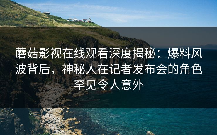 蘑菇影视在线观看深度揭秘：爆料风波背后，神秘人在记者发布会的角色罕见令人意外